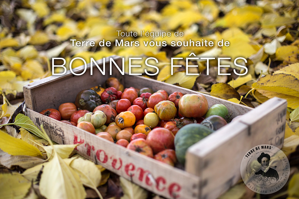 Bonnes Fêtes 2015