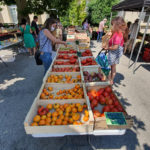 Nouvelle date de marché les samedis matin