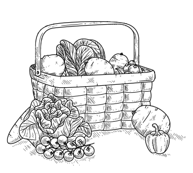 Panier De Legumes A Marseille Terre De Mars Panier De Legumes A Marseille Terre De Mars